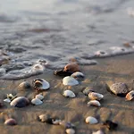 80m From The - Beahost Bibione