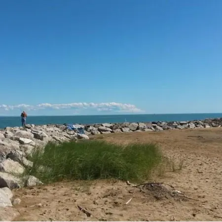 80m From The - Beahost