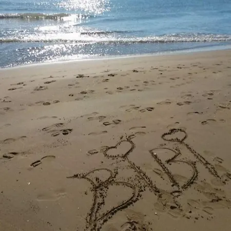 Apartamento 80m From The - Beahost