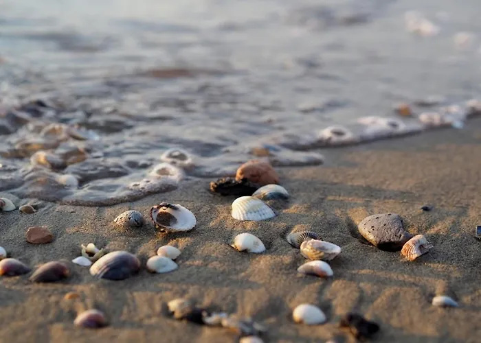 Lägenhet 80m From The - Beahost Bibione