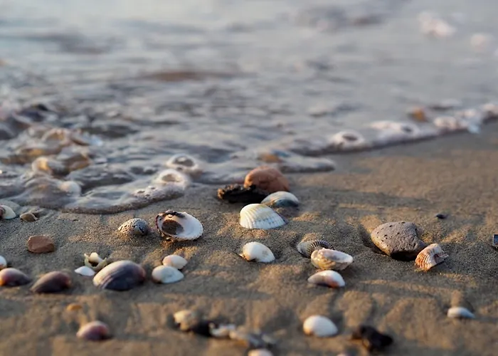 80m From The - Beahost Bibione