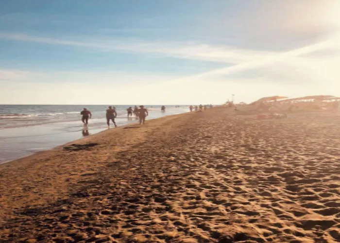 80m From The - Beahost *